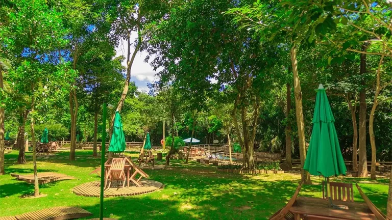 Thermas Paradise- Imagem 3